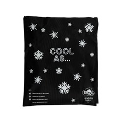 SPE-CHPK-B - SPENCIL BIG CHILL PACKS Fits Big Spencil Lunch Bags